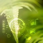 Kurumsal Karbon Ayak İzi Hesaplama