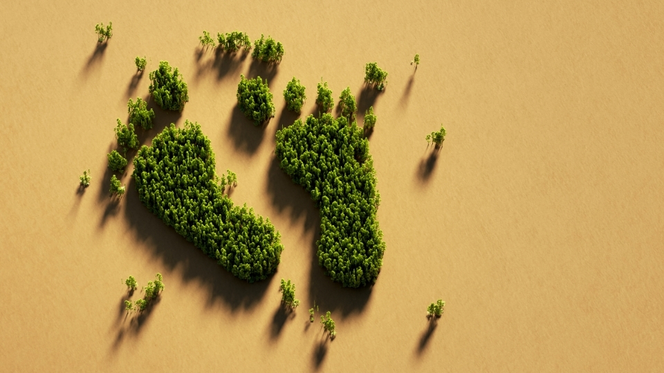 Ankara Karbon Ayak İzi Hesaplama, Karbon Ayak İzi Hesaplama Ankara, Ankara Kurumsal Karbon Ayak İzi Hesaplama, Ankara Ekolojik Karbon Ayak İzi Hesaplama, Ankara Karbon Ayak İzi Hesaplama Firmaları