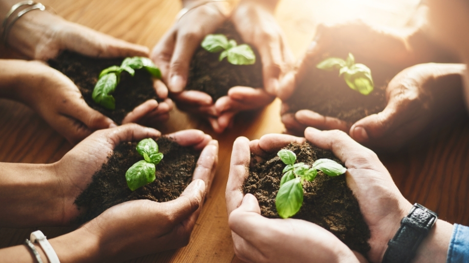Aydın Karbon Ayak İzi, Karbon Ayak İzi Aydın, Aydın Kurumsal Karbon Ayak İzi, Kurumsal Karbon Ayak İzi Aydın, Aydın Ekolojik Karbon Ayak İzi