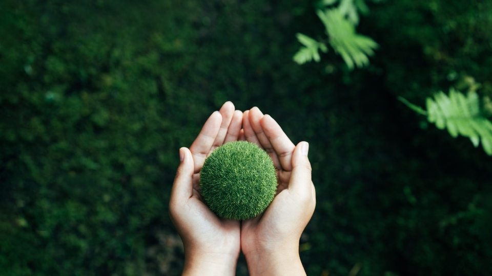 Aydın Karbon Ayak İzi Hesaplama, Karbon Ayak İzi Hesaplama Aydın, Aydın Kurumsal Karbon Ayak İzi Hesaplama, Aydın Ekolojik Karbon Ayak İzi Hesaplama, Aydın Karbon Ayak İzi Hesaplama Firmaları