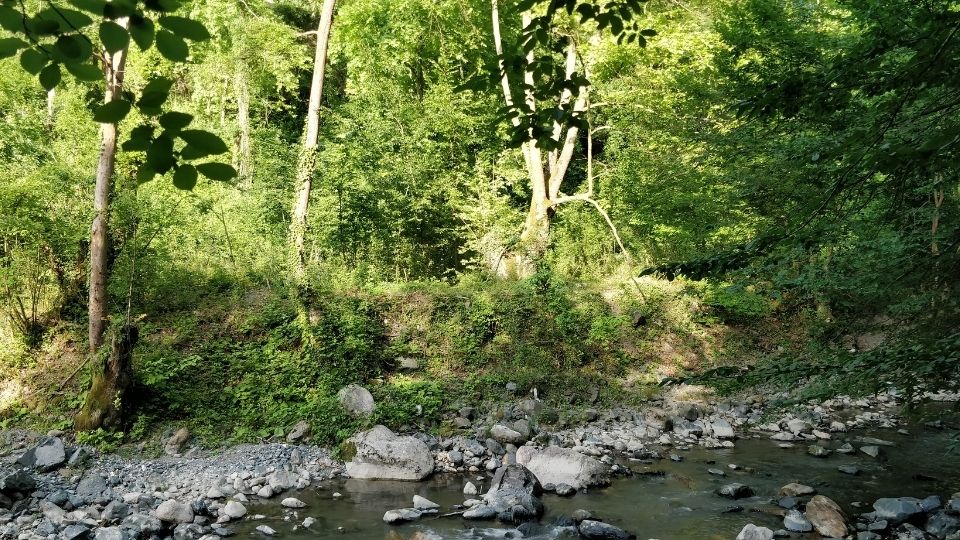 Ekolojik Ayak İzi Hesaplama, Ekolojik Ayak İzi Hesaplama Firmaları, Ekolojik Ayak İzi Hesaplama Danışmanlığı, Ekolojik Ayak İzi Ölçümü