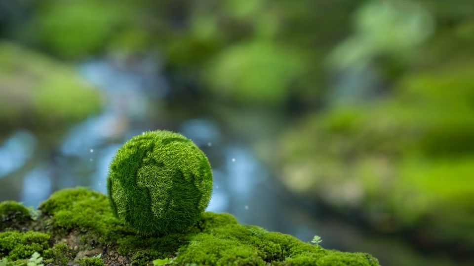 İzmir Karbon Ayak İzi, Karbon Ayak İzi İzmir, İzmir Kurumsal Karbon Ayak İzi, Kurumsal Karbon Ayak İzi İzmir, İzmir Ekolojik Karbon Ayak İzi